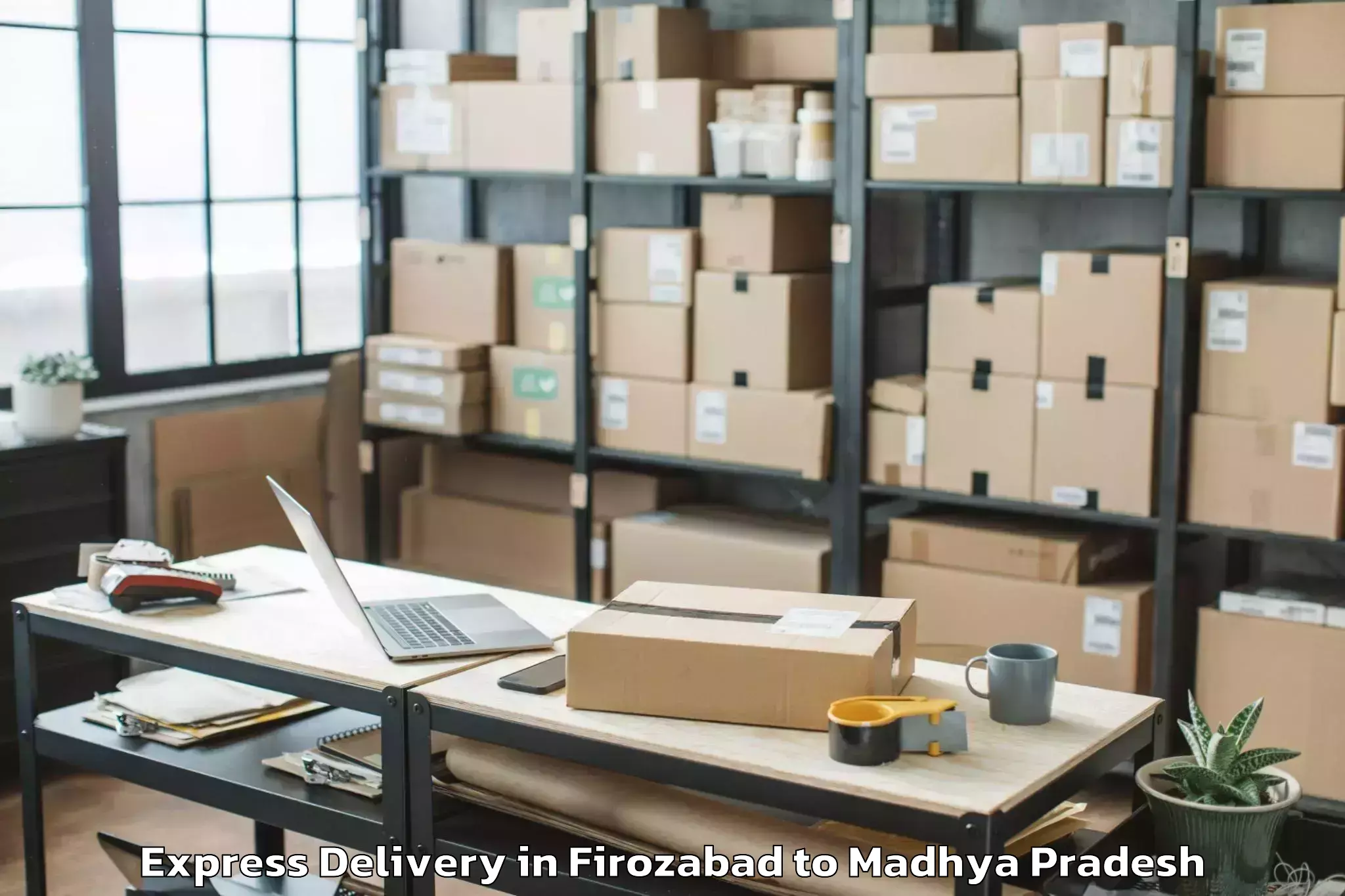 Top Firozabad to Alot Express Delivery Available